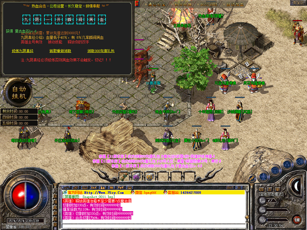Snapshot_0012.jpg
